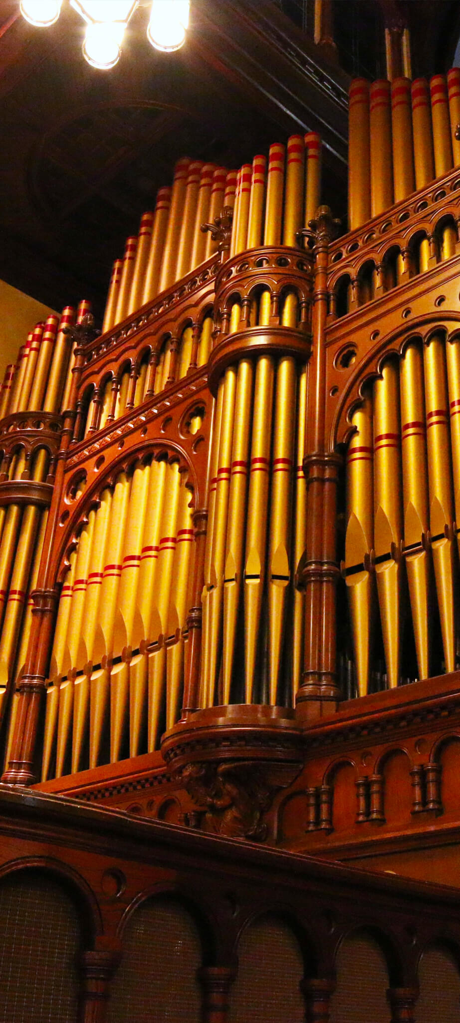 Organ