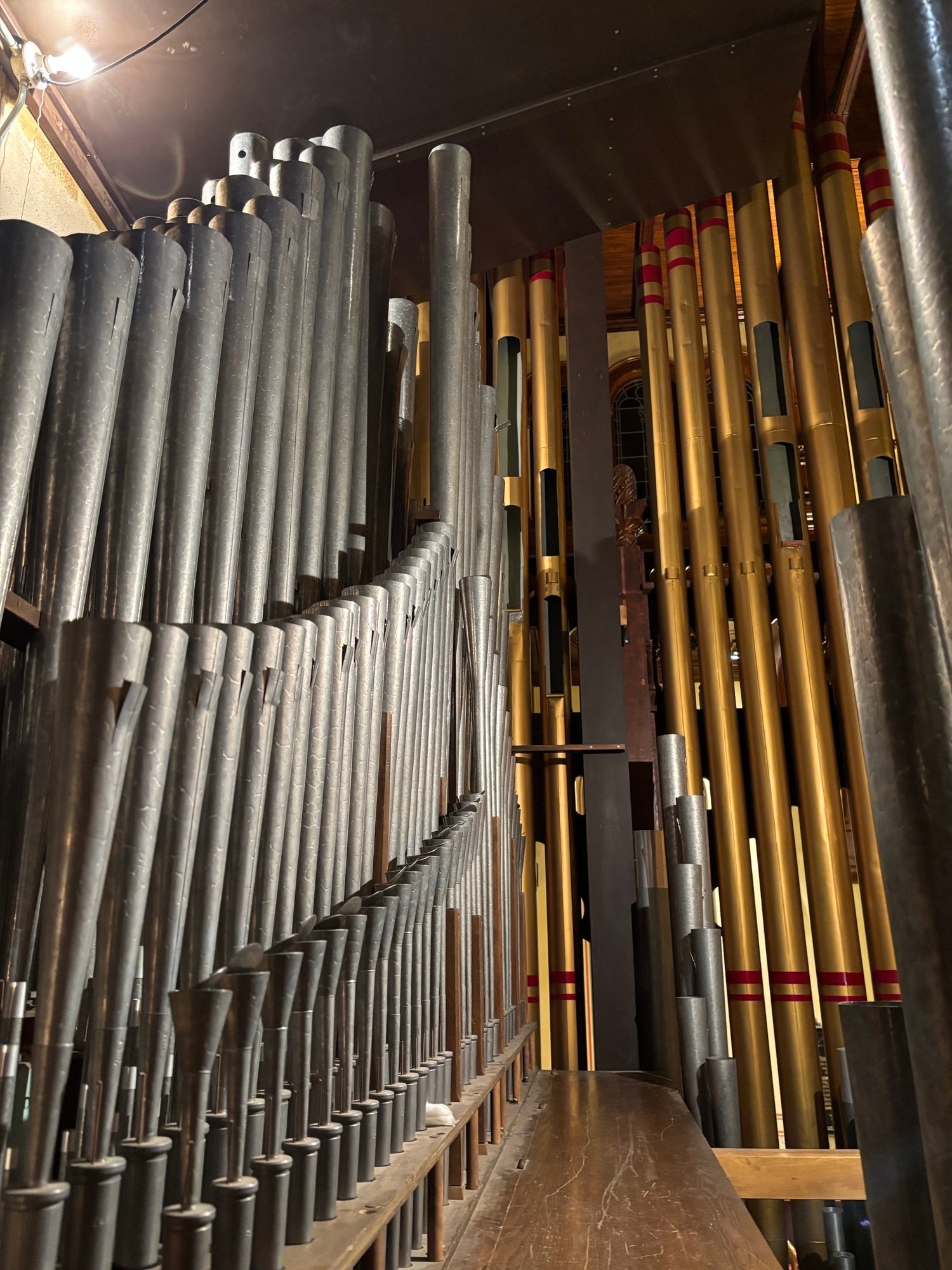 Photo5Reedpipewalkboard